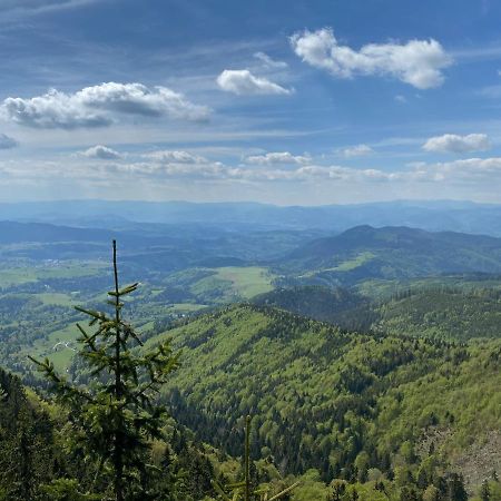 Apartman Viki Banská Bystrica Buitenkant foto