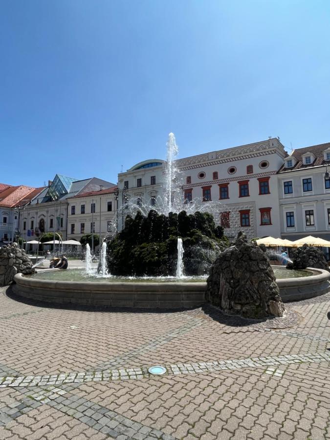 Apartman Viki Banská Bystrica Buitenkant foto