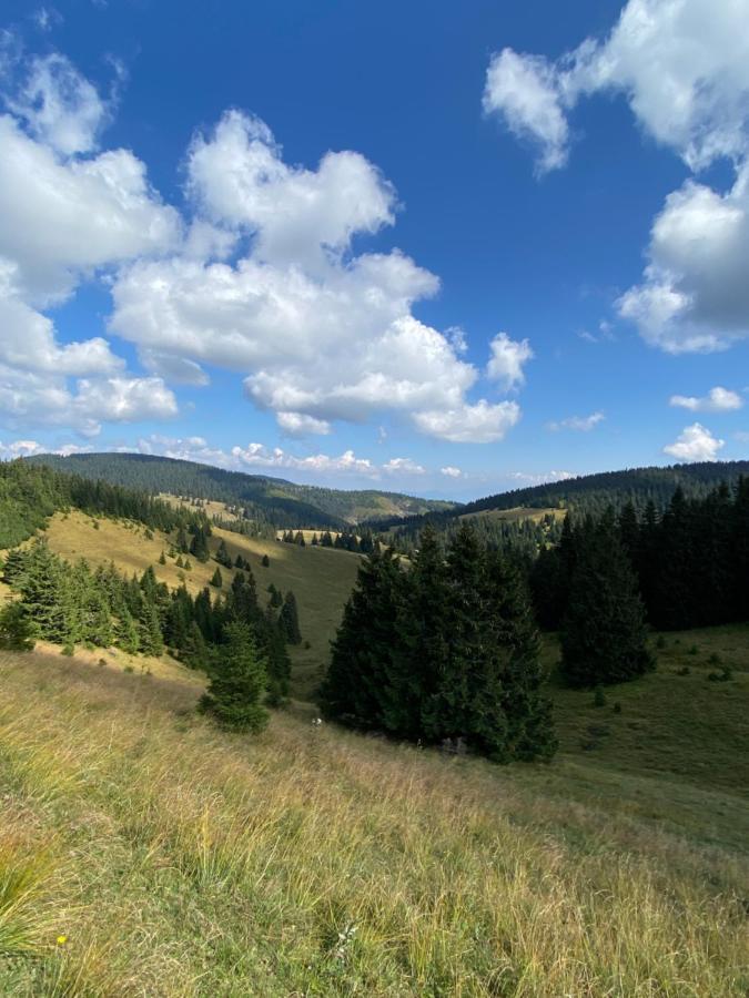 Apartman Viki Banská Bystrica Buitenkant foto